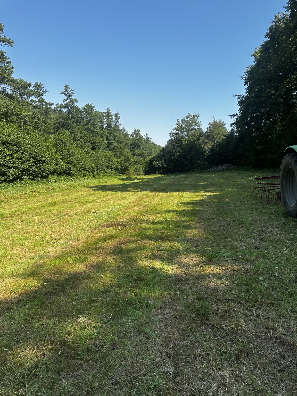 Gemähte Äsungsfläche mit Traktor und Schwader am rechten Bildrand