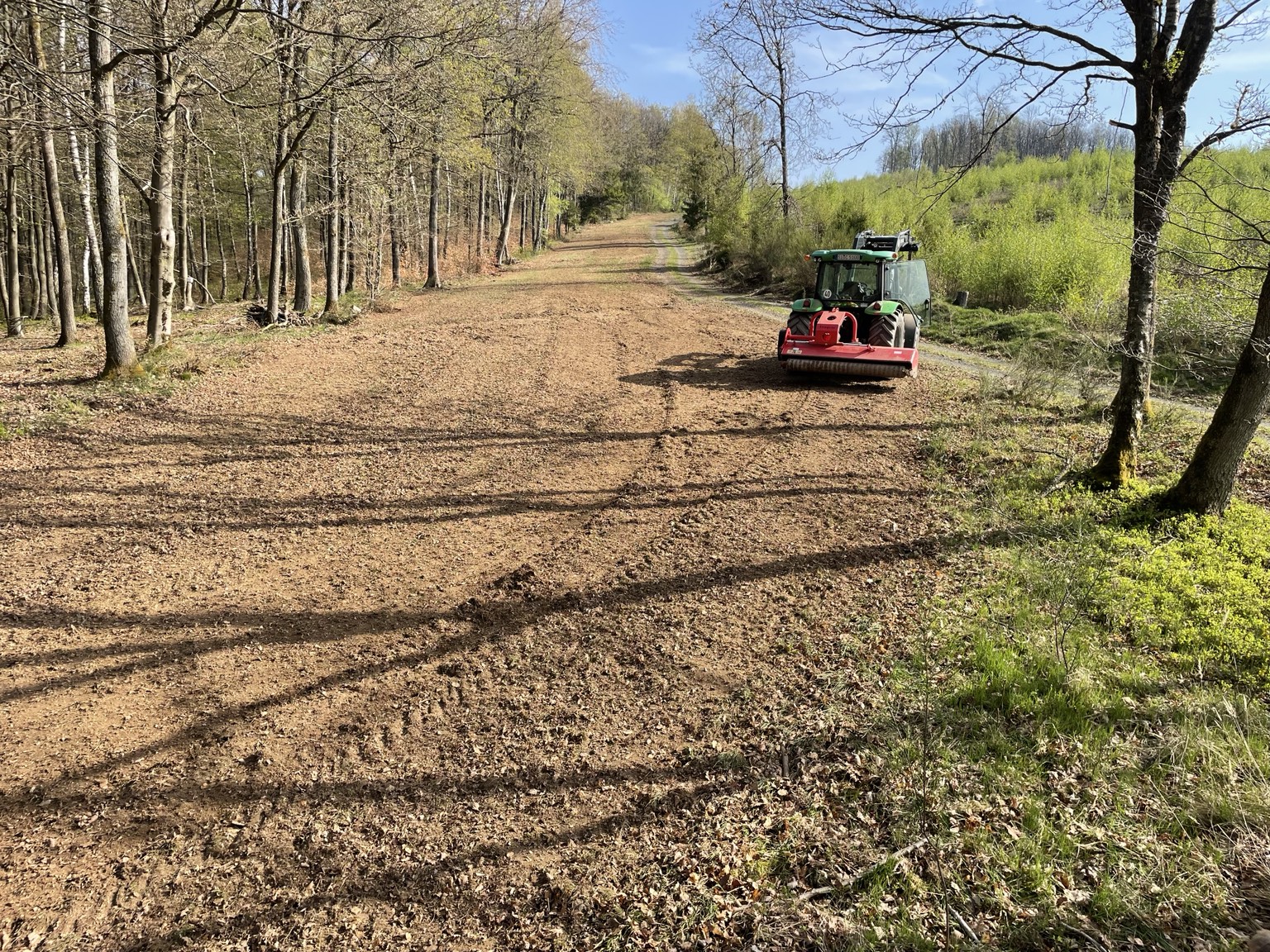 Grüner Traktor mit rotem Mulcher auf einer bearbeiteten Fläche im Wald