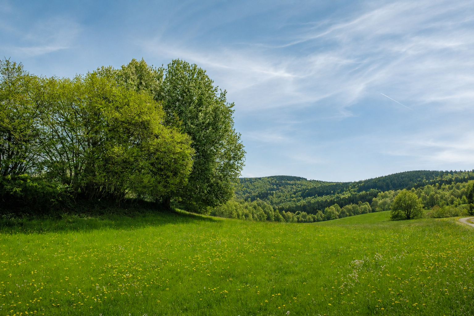 Grüne Wiese vor sanften, bewaldeten Hügeln im Mittelgebirge
